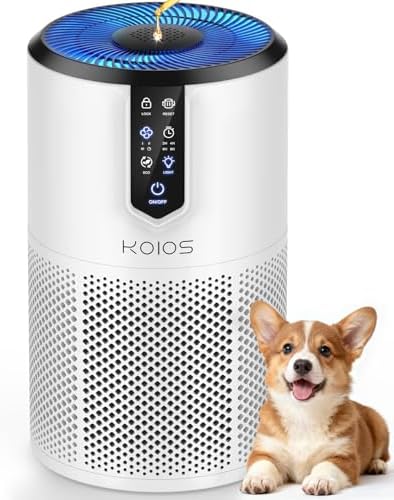 Air Purifiers for Bedroom